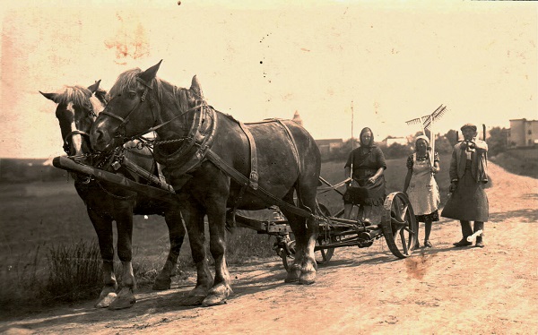 Pohlednice 1920 cesta do Starého Kramolína