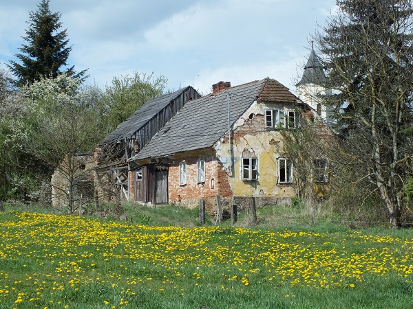DSCF2436